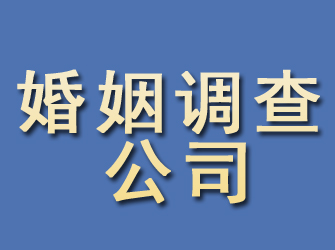 临高婚姻调查公司